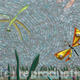 Sara's Dragonfly Dance…