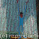 Olypic Pole Vaulter
