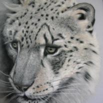 Snow Leopard