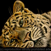 ...perchance to dream