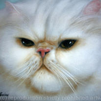 Snowflake