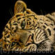 ...perchance to dream