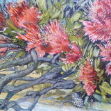 Pohutakawa at St Martins Bay. - Watercolour