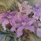 Clematis | | | Watercolour Clematis
