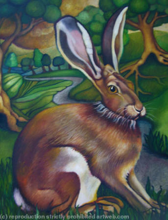 Hare at sunset