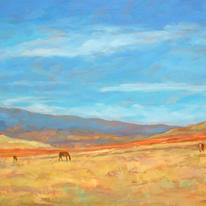Morrocan Pasture