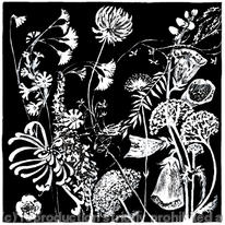 Hedge Flower Frieze 1