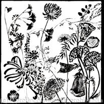 Hedgerow Flowers Frieze 2