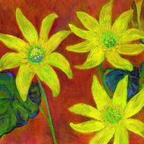 Celandines