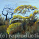 Hedge, Early Spring…