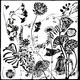 Hedgerow Flowers Frieze…