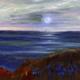 Cliff-top Hedge, Night