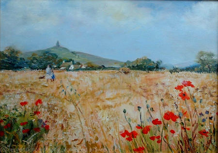 Cornfield Glastonbury