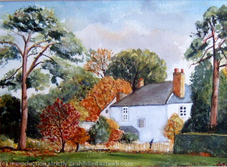 Garden Wilton Salisbury