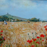 Cornfield Glastonbury - Oil on board
