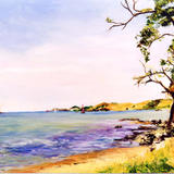 Helena Bay N.Z. - Oil on board