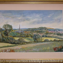 Salisbury from old Sarum ptg.
