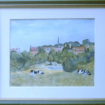 Harrow fields with cattle