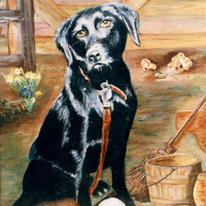 Bengy