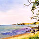 Helena Bay N.Z. | £80 | 43 x 33cm | Oil on board Helena Bay N.Z.