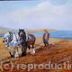Shire horses ploughing