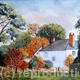 Garden Wilton Salisbury