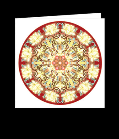 5 CARDS (C27A)