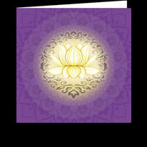 5 CARDS (CC7)