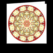 5 CARDS (C27A)