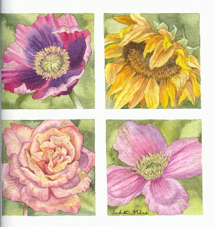 Summer Blooms
