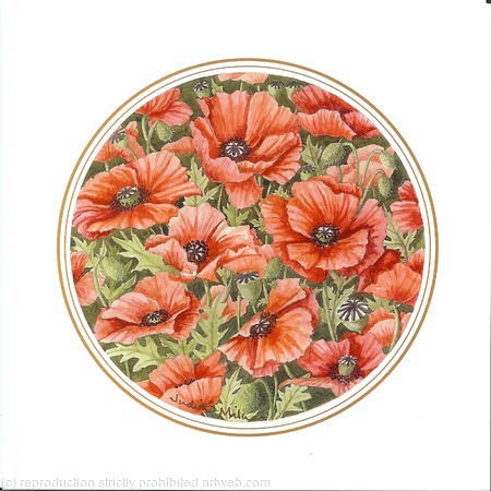 Poppies