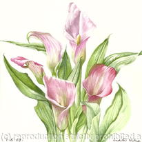 Lilies