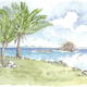 Pigeon Island 4