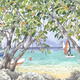 Mango Bay2, Barbados