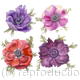 Anemone