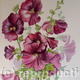 Hollyhocks - 988