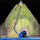 Manakin in Urban Jungle - Acrylic/coarse pumice gel/permanent marker on canvas.