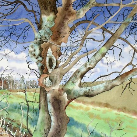 Gnarled Tree (Artist's ref 0411GN)