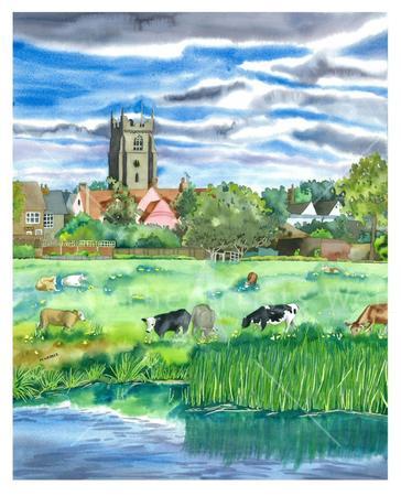 Cattle Grazing, Sudbury Water Meadows (Artist's Ref 0911CA)