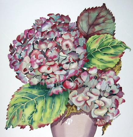 Autumn Hydrangea (Artist's ref 1209AU)