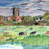 Cattle Grazing, Sudbury Water Meadows (Artist's Ref 0911CA) - Watercolour