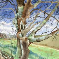Gnarled Tree (Artist's ref 0411GN)