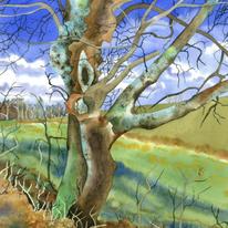 Gnarled Tree (Artist's ref 0411GN LEP)