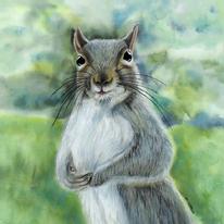 Expectant Squirrel (Artist's ref 0510EX) 