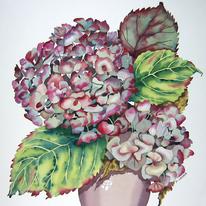 Autumn Hydrangea (Artist's ref 1209AU)