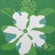 White Flower (ref 0805WH1)