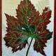Red Leaf 4 (ref 1005RL4)