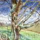 Gnarled Tree (Artist's ref 0411GN)