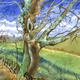 Gnarled Tree (Artist's…
