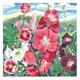 Hollyhocks (Artist's…